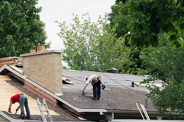 Roof Gutter Cleaning in Shelby, MT